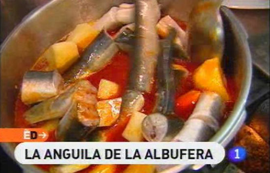 Espa&ntilde;a Directo - La anguila de la albufera