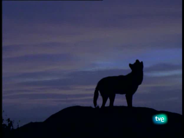 La Espa&ntilde;a salvaje - Un a&ntilde;os en los parques nacionales espa&ntilde;oles