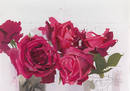 Antonio L&oacute;pez, Rosas rojas, 2007