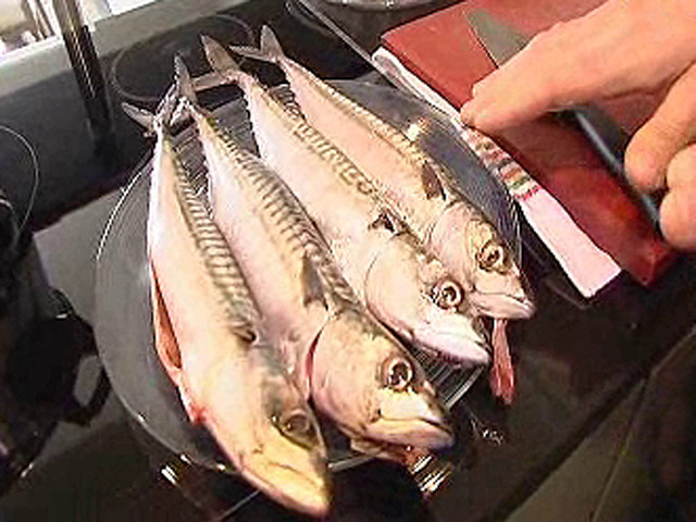 Espa&ntilde;a Directo - Aproveche... y escabeche