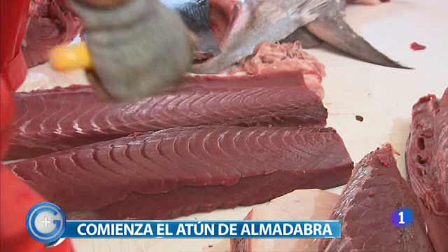 Más Gente - Más Cocina - Arranca la temporada del atún