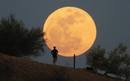 Así se vio la ’superluna’ desde Phoenix, Arizona.