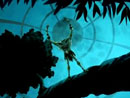 Imagen del  v&iacute;deo de Scooby Doo Misterios S.A. en ingl&eacute;s titulado Attack of the headless horror