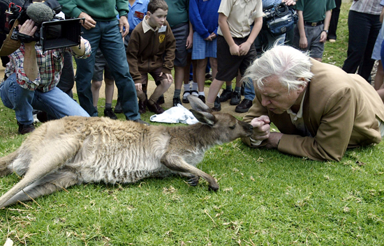 David Attenborough, Pr&iacute;ncipe de Asturias de Ciencias Sociales