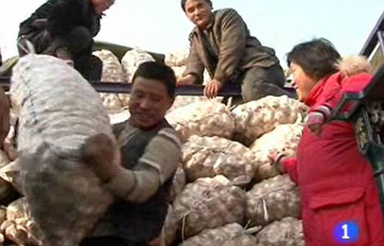 El ajo se pone de moda en China con la llegada de la gripe A