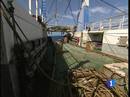 Ir al Video&nbsp;Las autoridades de Guinea Bissau retienen desde hace 15 d&iacute;as a tres barcos espa&ntilde;oles con unos 50 tripulantes