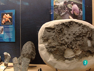 La aventura del saber. Museo Jur�sico de Asturias