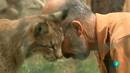 Ir al Video&nbsp;La Aventura del Saber. Pepe Guill&eacute;n. Naturalista