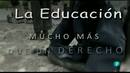 Ir al Video&nbsp;La aventura del saber. Reportaje: Mundo cooperante. Educaci&oacute;n