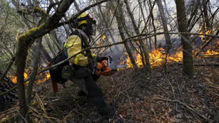 Ver v&iacute;deo  'Bajo el fuego el Parque Natural de Fragas do Eume con m&aacute;s de 750 hect&aacute;reas quemadas'