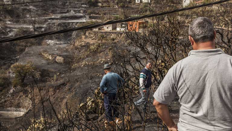 Balance del incendio que ha afectado la cumbre de la isla de Gran Canaria
