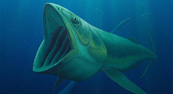 Recreaci&oacute;n art&iacute;stica del gigante marino que habit&oacute; durante 100 millones de a&ntilde;os los oc&eacute;anos.