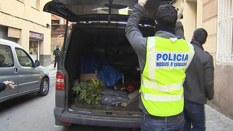 Operación contra la banda latina Black Panthers en Barcelona