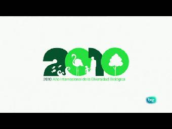 Biodiario - Los barbos