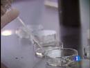 Ir al Video&nbsp;En Barcelona ha nacido el primer beb&eacute; libre de un gen que predispone a sufrir un c&aacute;ncer de mama