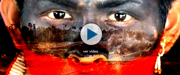 "La batalla por la Amazonia" "La batalla por la Amazonia"