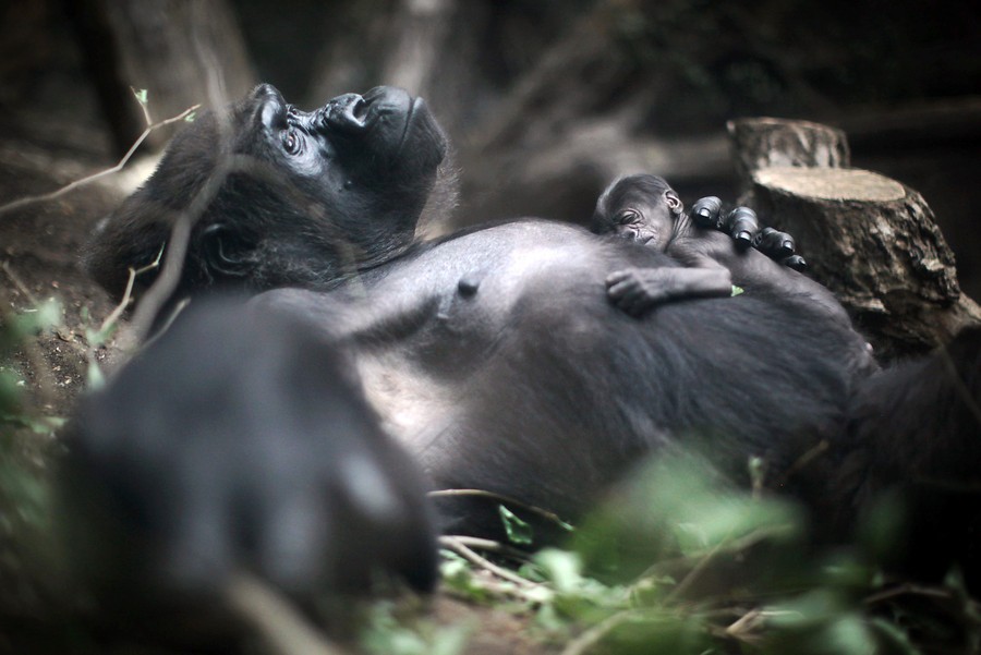 &iexcl;Bienvenida al mundo!