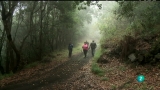 Ir al Video&nbsp;Biodiario - 05/02/12