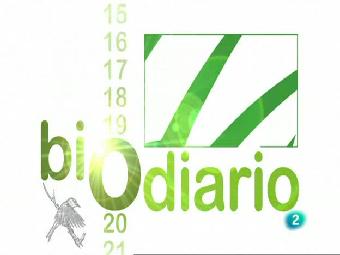 Ver v&iacute;deo  'Biodiario - La lagartija de Valverde'