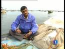 Ir al Video&nbsp;El bloqueo israel&iacute; sobre Gaza es un grave problema para los pescadores palestinos