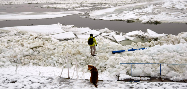 Bloques de hielo en el Danubio, a su paso por Belgrado