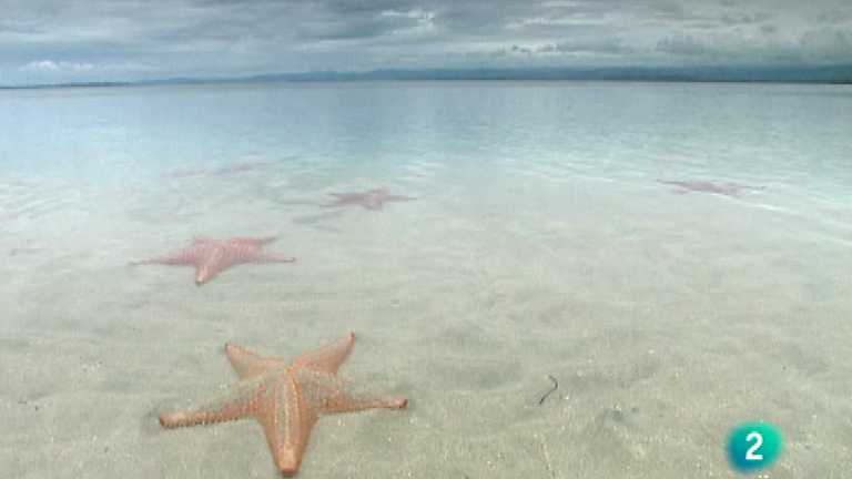 Am&eacute;rica total - Bocas del Toro