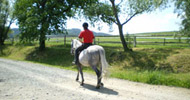 Bohemia central