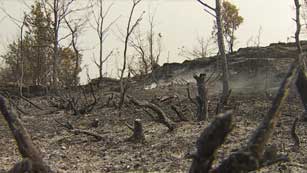 Ver v&iacute;deo  'Los bomberos controlan el incendio forestal en Prats de Rei'