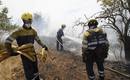 Bomberos extinguen las llamas en Empord&agrave;