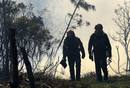 Los bomberos luchan contra el fuego.