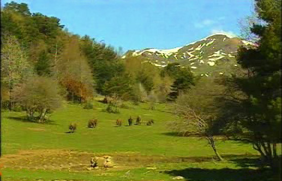 Espa&ntilde;a Directo - El bosque de Piedrahita de Jaca