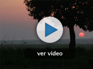 <b>Proteger bajo el fuego</b> <b>Proteger bajo el fuego</b>