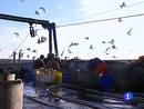 Ir al Video&nbsp;Bruselas propone cambios dr&aacute;sticos en la pesca para salvar los caladeros y Espa&ntilde;a muestra su preocupaci&oacute;n