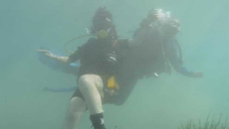 En Alicante se celebra una jornada de Buceo Solidario