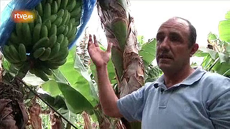 Conectando Espa&ntilde;a - Buenavista del Norte - Elaboraci&oacute;n del pl&aacute;tano