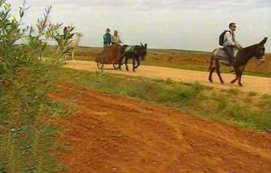 Espa&ntilde;a Directo - En burro por Aceuchal
