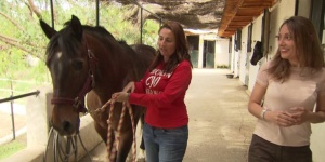 Un caballo llamado 'Hombre'