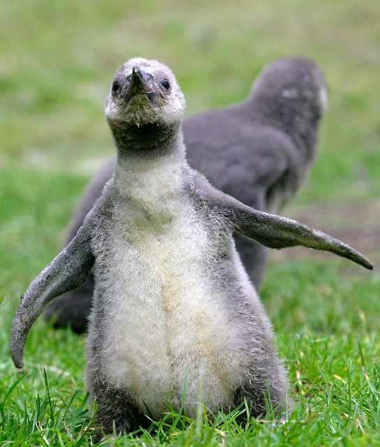 Cada uno por su lado