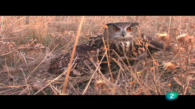 El documental - Al caer el sol (El gran duque)