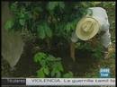 Ir al Video&nbsp;'Caf&eacute; justo' en la selva de M&eacute;xico