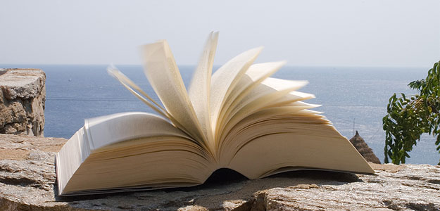 La ca&iacute;da en la venta de libros duplicar&aacute; este a&ntilde;o la de 2011