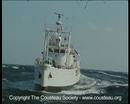 Ir al Video&nbsp;El 'Calypso', uno de los barcos m&iacute;ticos de las expediciones del capit&aacute;n Cousteau