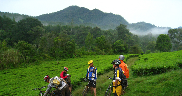 Unos ciclistas escalan el Monte Burangrang, en Indonesia.