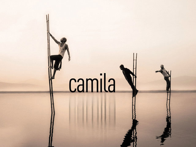 Disco del a&ntilde;o 2010 - Camila - Dejarte de Amar