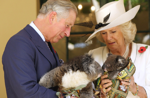 Camilla, divertida y cercana en Australia