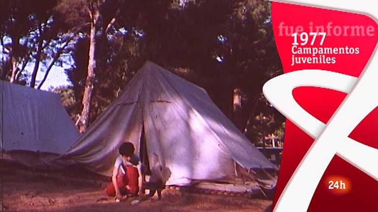 Fue Informe - Campamentos juveniles
