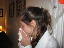Campa&ntilde;a de la gripe 2009
