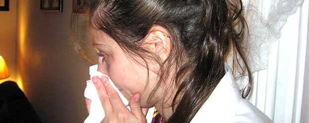 Campaña de la gripe 2009 Campaña de la gripe 2009