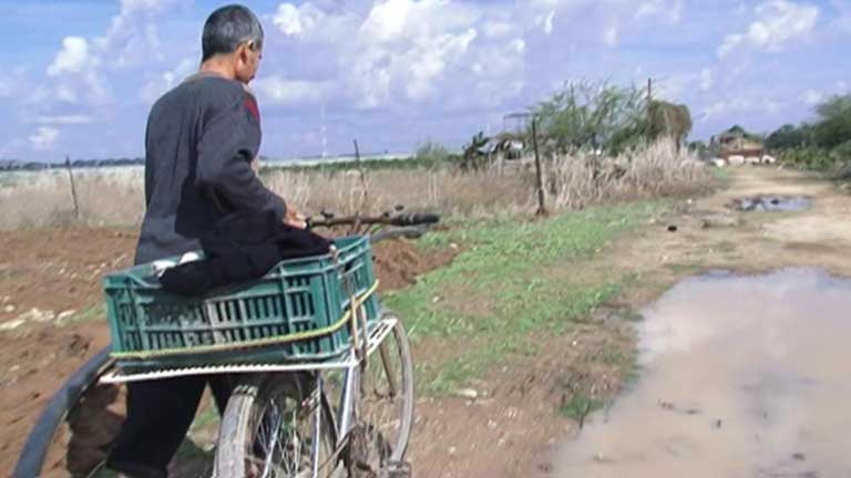 El difícil trabajo de los campesinos de la franja de Gaza