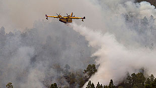 Ver v&iacute;deo  'Canarias redobla los esfuerzos contra el fuego, que ya ha alcanzado el Teide'